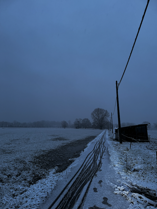 Image for Week 2: Diepgang en Verfijning